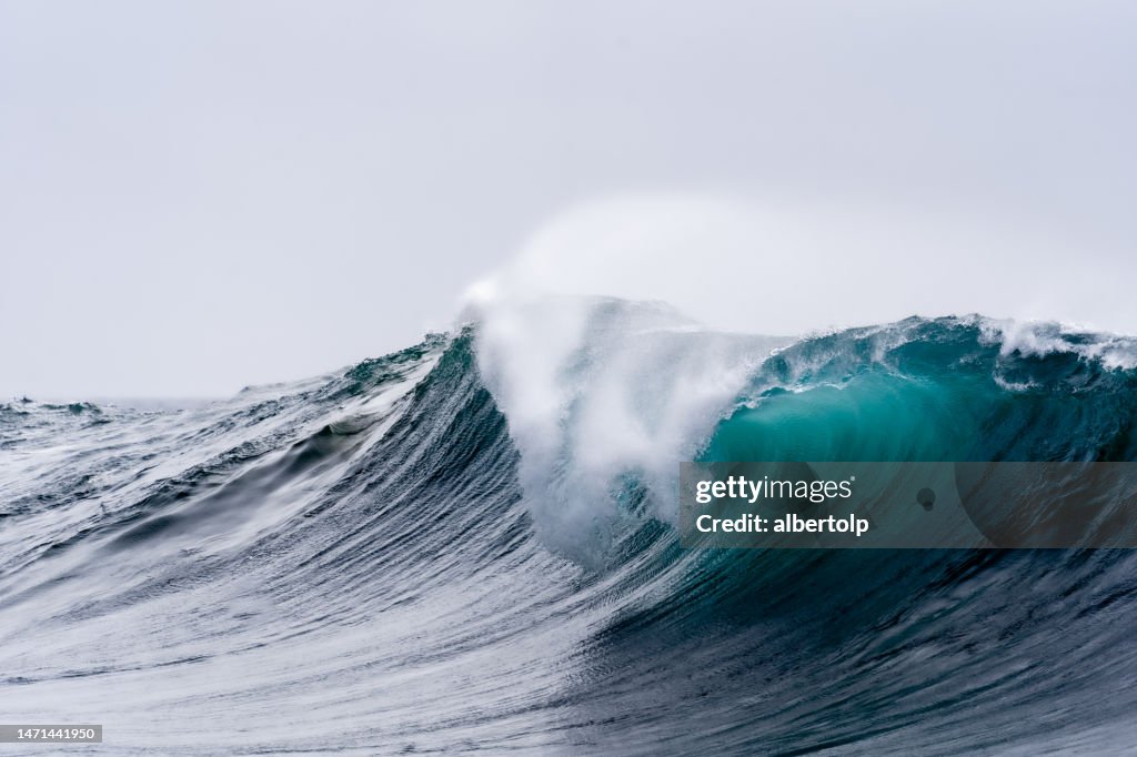 Wave