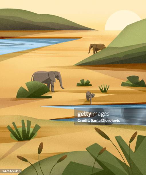 ilustrações, clipart, desenhos animados e ícones de elefantes na água potável de savana - cartoon characters with big noses