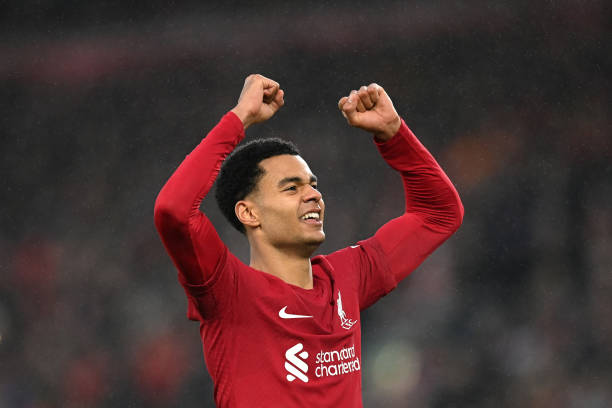 Cody Gakpo, salah satu pemain Liverpool dengan gaji tertinggi
