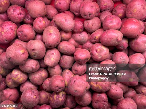 full frame shot of red potatoes at the local market - american potato farm stockfoto's en -beelden