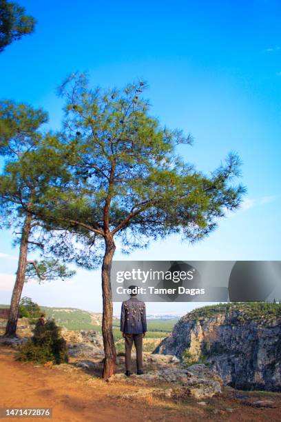 a bard in an artistic costume on the mountain - bard stock pictures, royalty-free photos & images