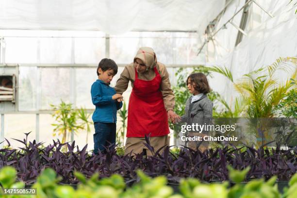 a young entrepreneurial mother growing potted plants in a greenhouse teaches her two young sons business. - brother jealous stock pictures, royalty-free photos & images