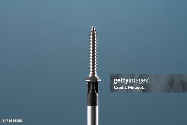 a screw attached on the top of a screwdriver - schroevendraaier stockfoto's en -beelden