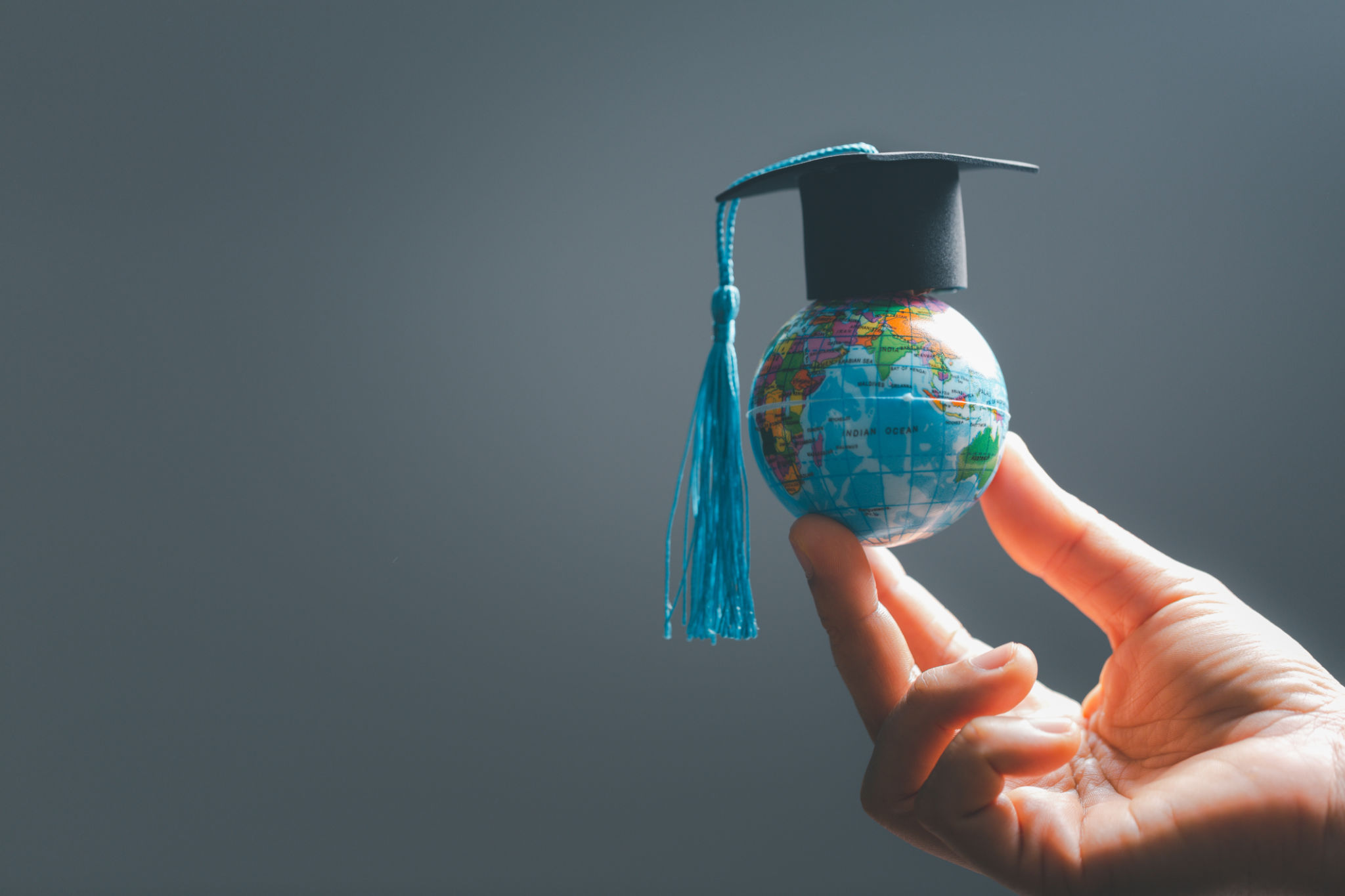 global education advisor