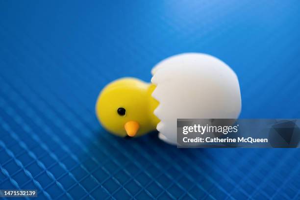 toy baby chick in cracked egg knocked over - sad rubber duck stock pictures, royalty-free photos & images