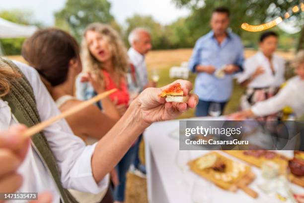 garden party - canape stock pictures, royalty-free photos & images