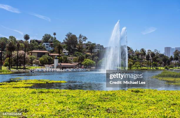 sunny view from echo park lake in los angeles - echo park los angeles stock pictures, royalty-free photos & images