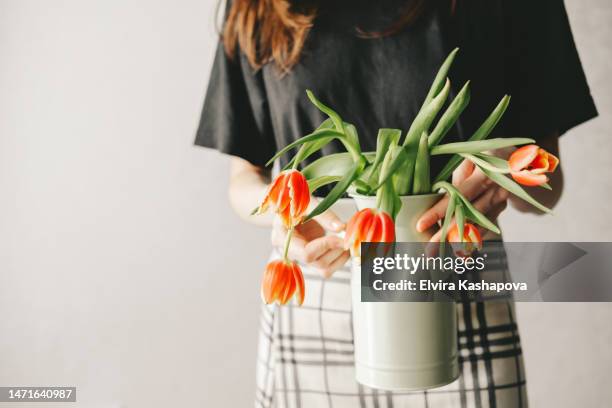 a woman in a short plaid skirt in a black t-shirt with red tulips in a vase in her hands against the background of a white wall - red t shirt stock pictures, royalty-free photos & images