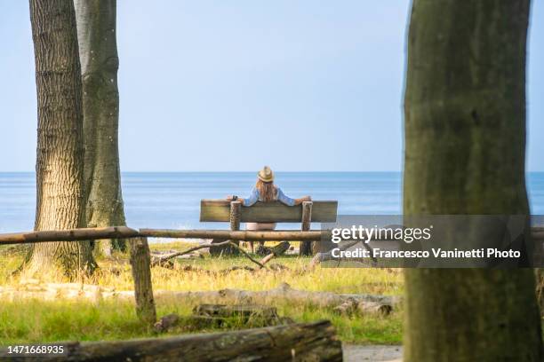 woman visiting gespensterwald - the ghost forest, germany. - rostock 個照片及圖片檔