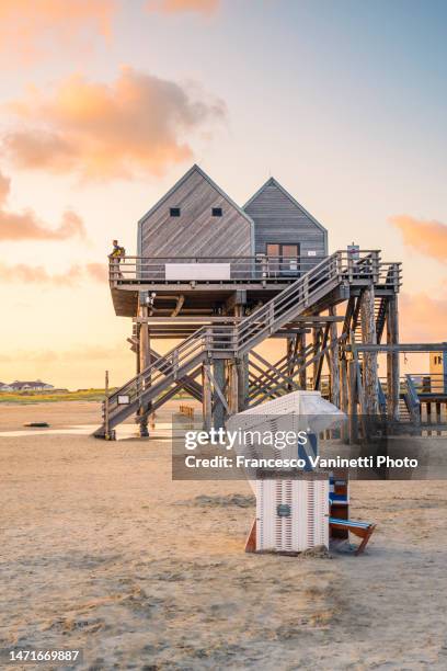 man on the beach of st peter ording, germany. - schleswig holstein landschaft stock-fotos und bilder
