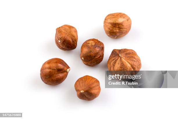 hazelnuts nut isolated on the white background - avelã imagens e fotografias de stock