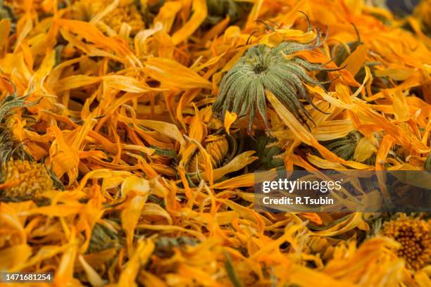 calendula flowewr tea for infusion as a background - calendula officinalis stock pictures, royalty-free photos & images