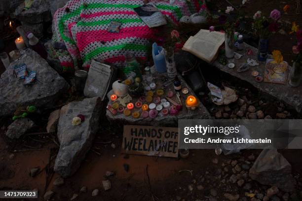 Environmental activists reoccupy the Atlanta Forest, a preserved forest Atlanta that is scheduled to be developed as a police training center, March...