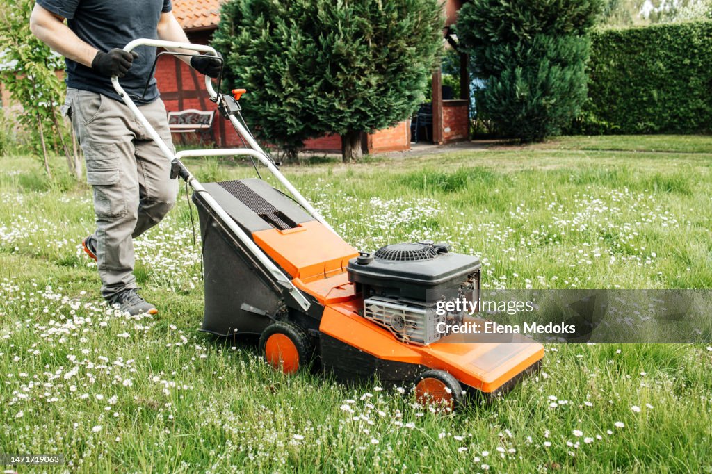 A man mows the grass with an electric lawn mower. Hardworking owner takes care of his lawn