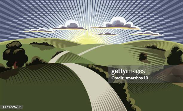 sunset on the horizon - forest sun stock illustrations