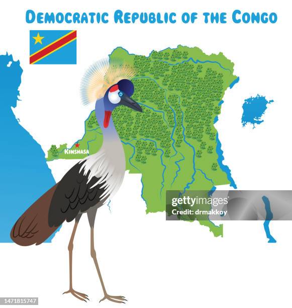 illustrations, cliparts, dessins animés et icônes de république démocratique du congo et grue couronnée grise - democratic republic of the congo