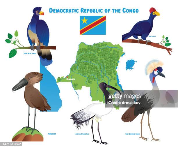 democratic republic of the congo and birds - kisangani stock illustrations