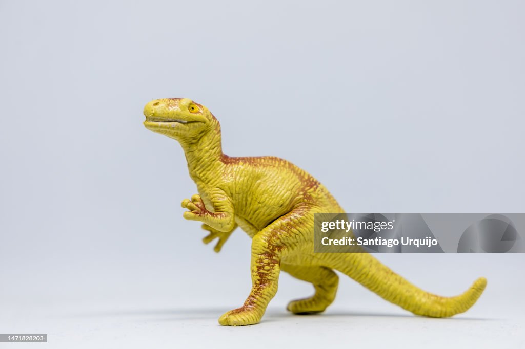 Close-up of Eoraptor