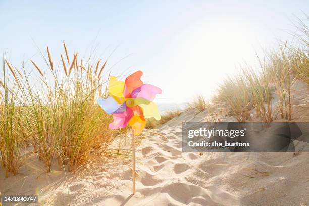 colorful pinwheel at sand dunes by the sea - windrad stock-fotos und bilder