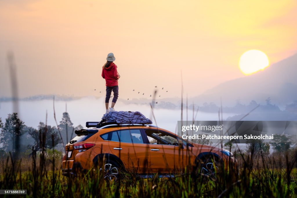 Travel in the nature