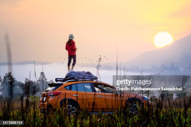 travel in the nature - picnic rug stockfoto's en -beelden