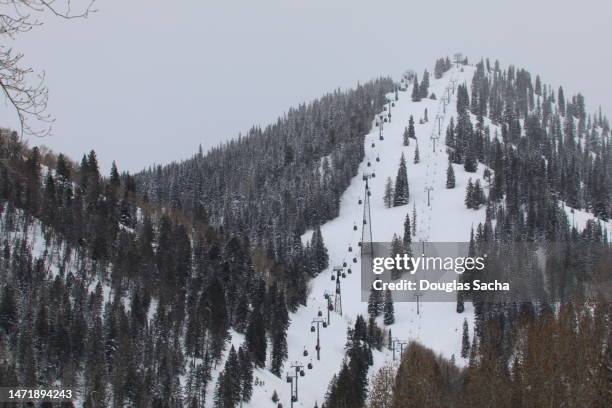 tall mountain with gondola for skiing - aspen forest stock pictures, royalty-free photos & images
