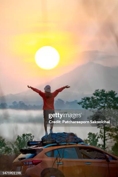 traveler on peak of mountain in the morning - jungle explorer stock pictures, royalty-free photos & images