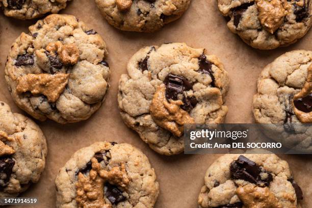 homemade peanut butter and chocolate cookies - biscotti foto e immagini stock