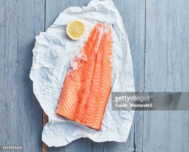 raw salmon fillet lying on piece of paper - aliment préparé en filet photos et images de collection