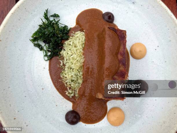 almendrado con lechón, arroz con chepil, chiles en escabeche y almendra tostada [almond mole sauce with confit suckling pig, rice with chepil/chipilí­n herb, pickled chilies and toasted almonds] - almendra stock pictures, royalty-free photos & images