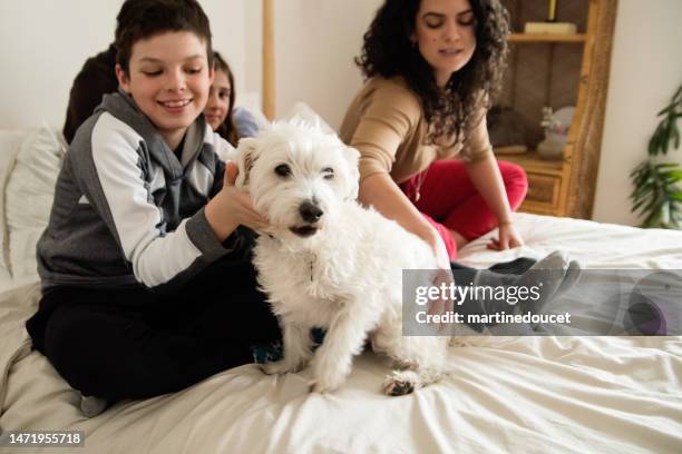family portrait with dog on a bed at home. - west highland white terrier stock pictures, royalty-free photos & images