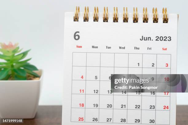 calendar desk 2023: june is the month for the organizer to plan and deadline with a houseplant against a white paper background. - calendar june stock pictures, royalty-free photos & images