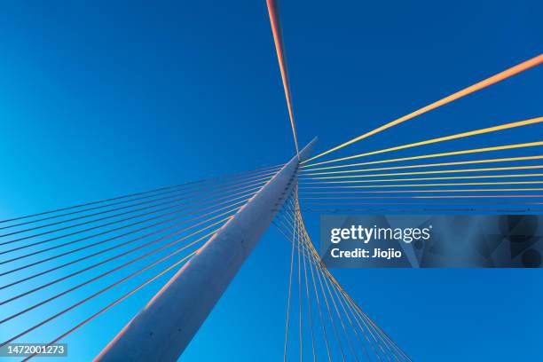 the light of sunset illuminates the bridge steel cable - looking up at buildings stock pictures, royalty-free photos & images