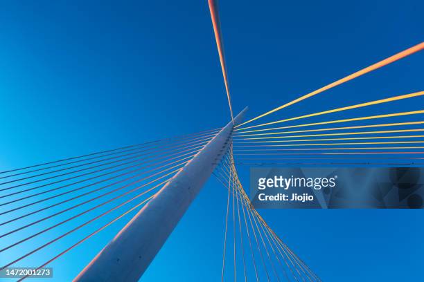 the light of sunset illuminates the bridge steel cable - ponte de tirantes - fotografias e filmes do acervo