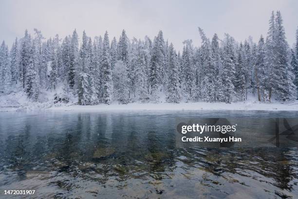 snow on lake in winter - tree plantation stock pictures, royalty-free photos & images