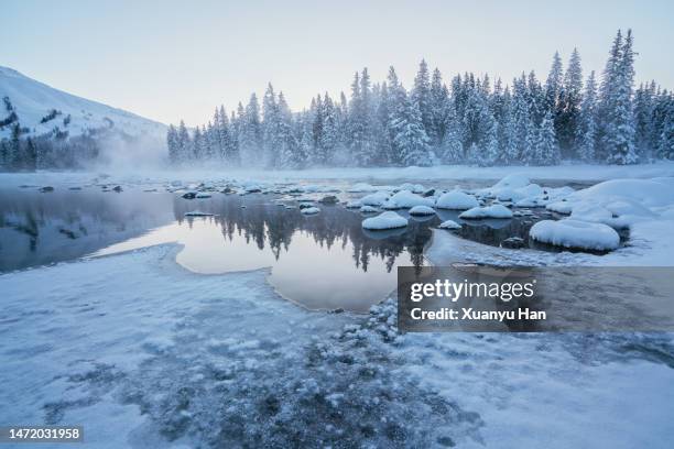 rivers crossing winter forests in the morning - tree plantation stock pictures, royalty-free photos & images