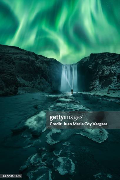 northern lights (aurora borealis) dancing over the frozen skógafoss waterfall in winter covered in ice and snow (snowcapped mountain), golden circle route, iceland - northern lights iceland stockfoto's en -beelden