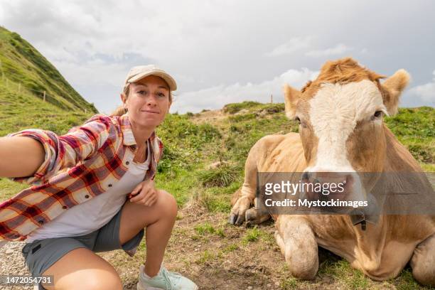 female taking selfie with cow in meadow - cattle call stock pictures, royalty-free photos & images