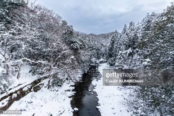 mountin covered with snow - kyoto covered with first snow of the season imagens e fotografias de stock