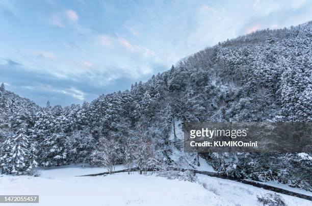 mountin covered with snow - kyoto covered with first snow of the season imagens e fotografias de stock
