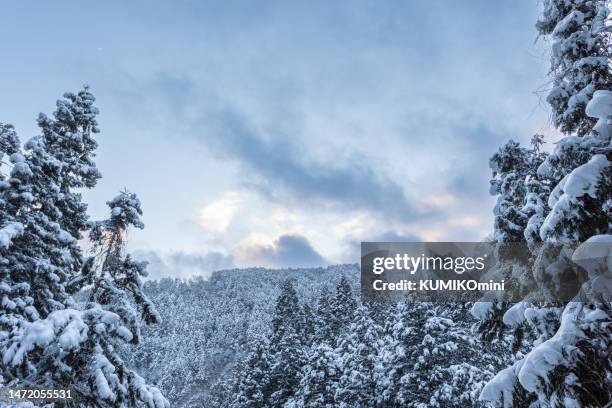 mountin covered with snow - kyoto covered with first snow of the season stock-fotos und bilder