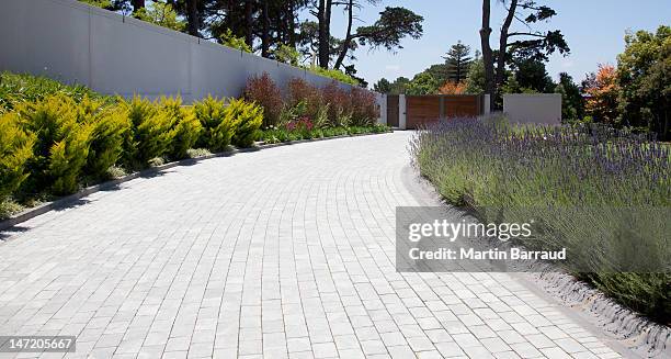 plants along cobblestone driveway - kassei stockfoto's en -beelden