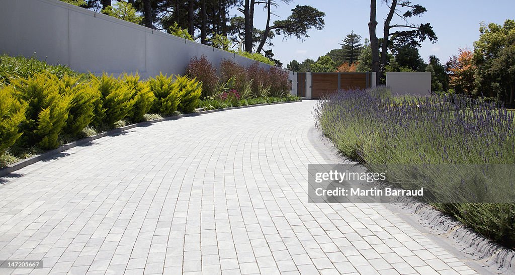 Plants along cobblestone driveway