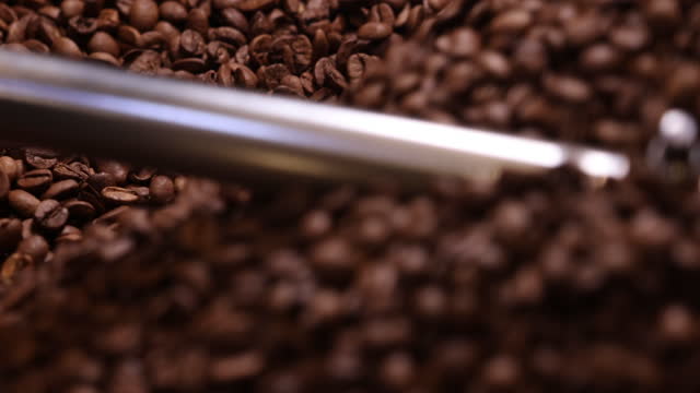 Freshly Roasted Coffee Beans in Mixer