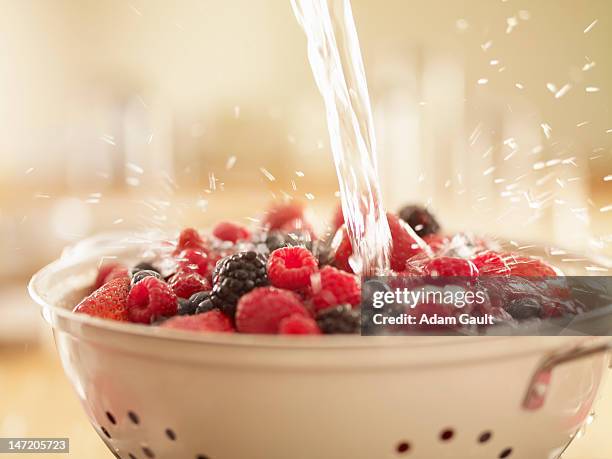 water splashing over berries in colander - adam berry stock pictures, royalty-free photos & images
