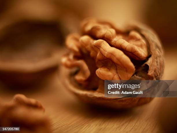 close up of walnut in shell - noci foto e immagini stock