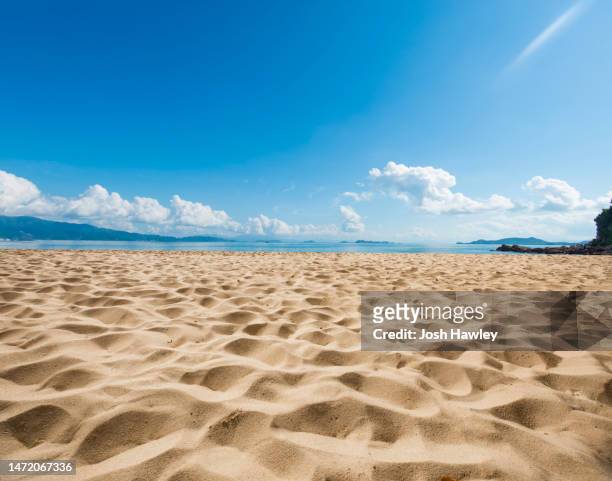 beach by the sea - seaside foto e immagini stock