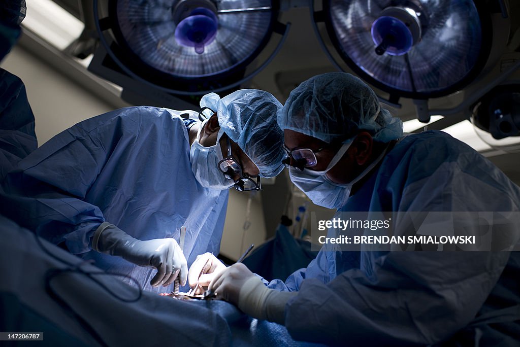 Dr. Niraj Desai (L) sews in a kidney to 