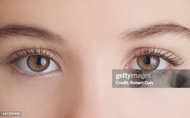 close up of woman's eyes - human eye stockfoto's en -beelden