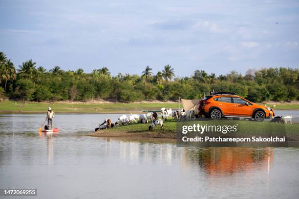 camping - mae hong son province bildbanksfoton och bilder